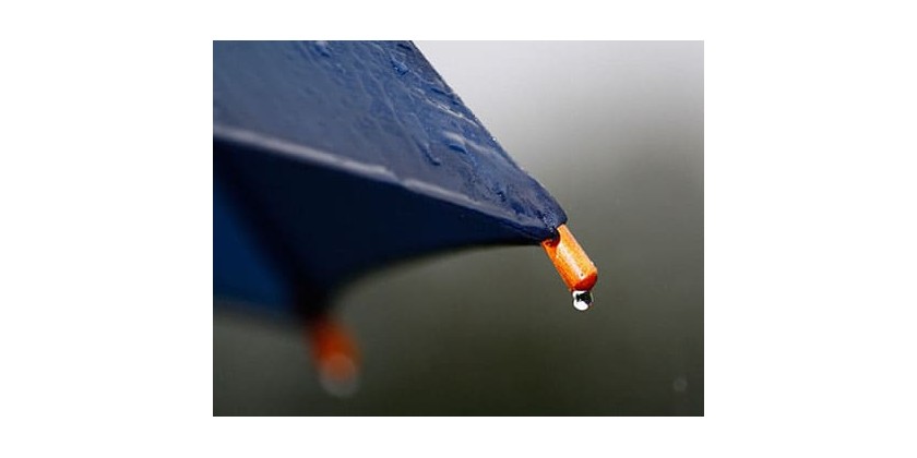 Embolsadora de paraguas ▷ La solución en días de lluvia
